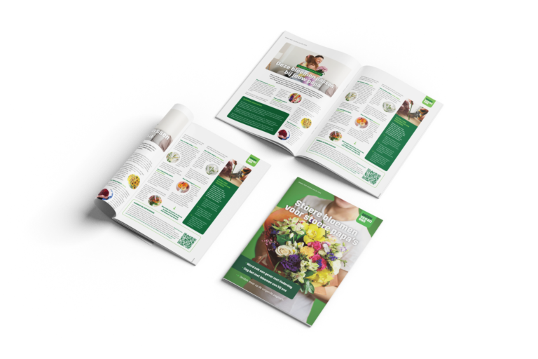 Vlam 31052025 overzicht – transparant